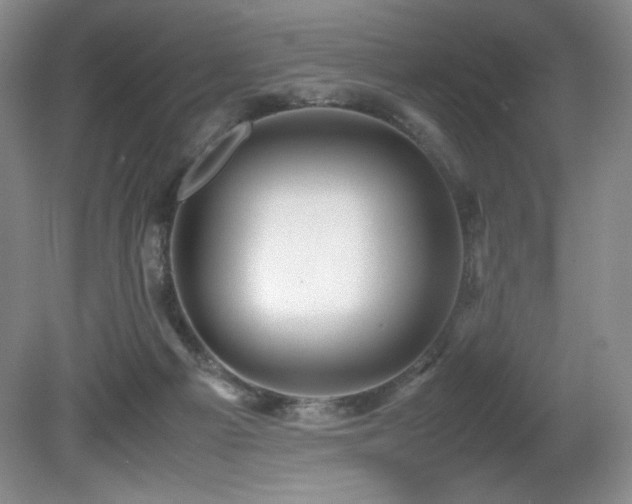 X0000081610121200701151415