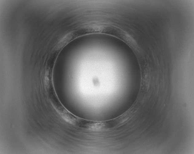 X0000081610122200701151415