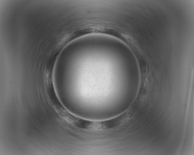 X0000081610123200701151415