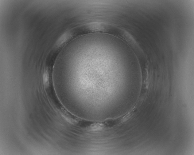 X0000081610124200701151415