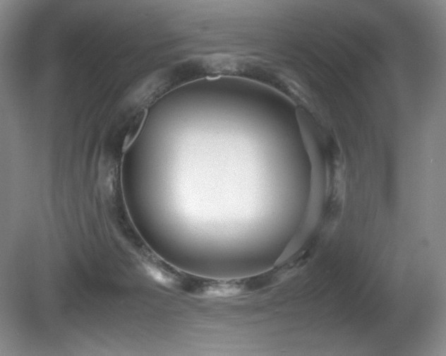 X0000081610125200701151415