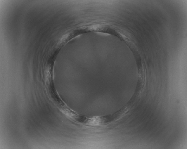 X0000081610127200701151415