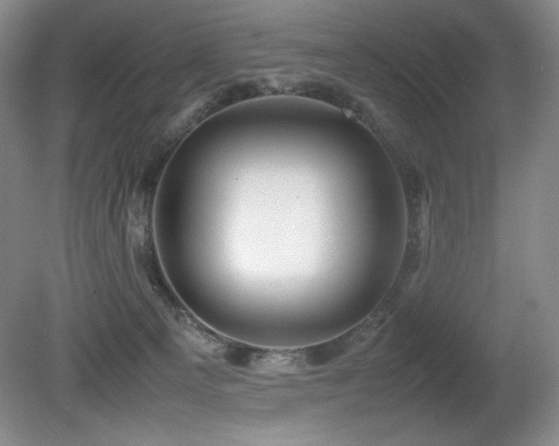 X0000081610129200701151415