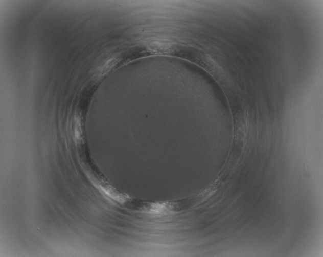 X0000081610130200701151415