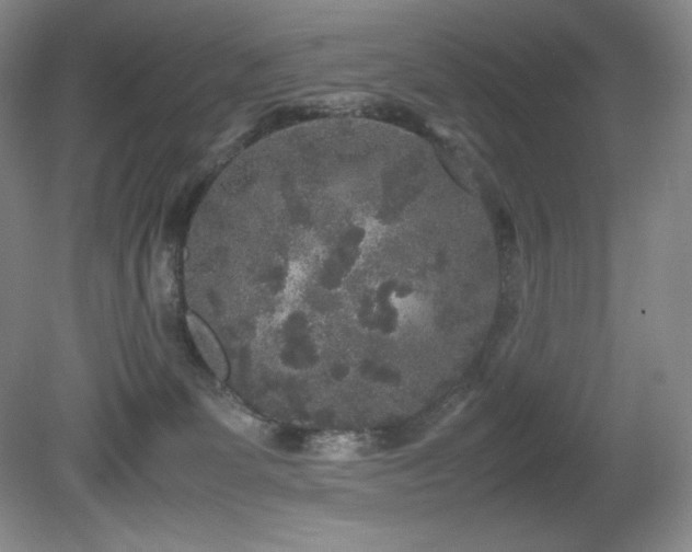 X0000081610131200701151415