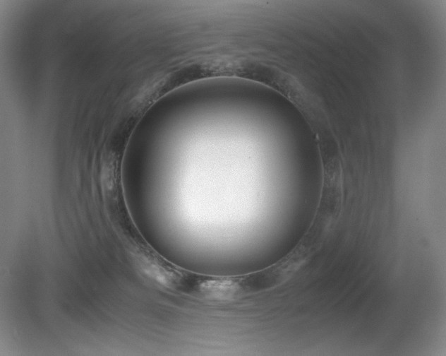 X0000081610133200701151415