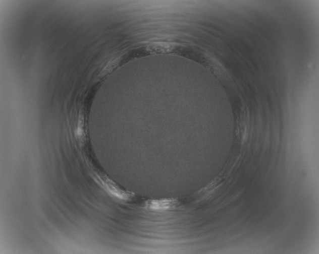 X0000081610134200701151415