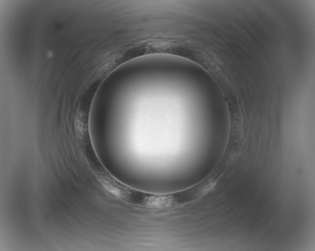 X0000081610135200701151415