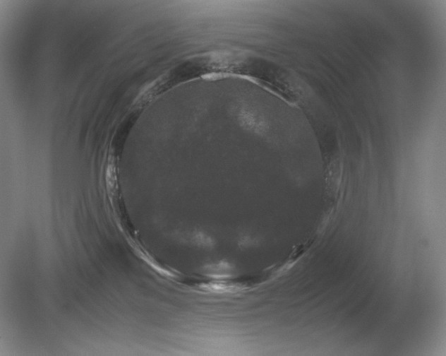 X0000081610137200701151415