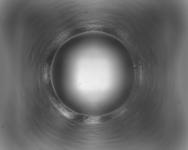 X0000081610138200701151415