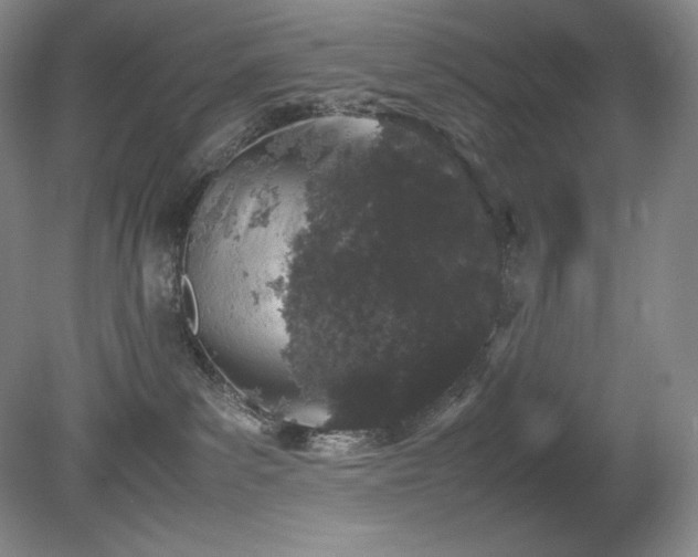 X0000081610139200701151415