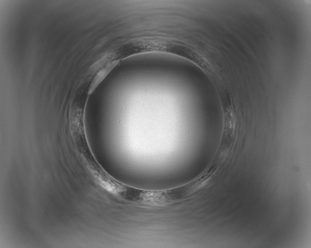 X0000081610141200701151415