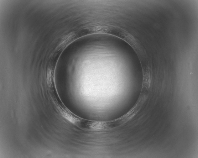 X0000081610142200701151415