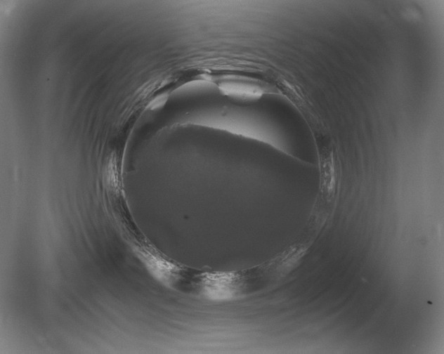 X0000081610143200701151415