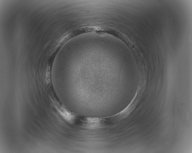 X0000081610144200701151415