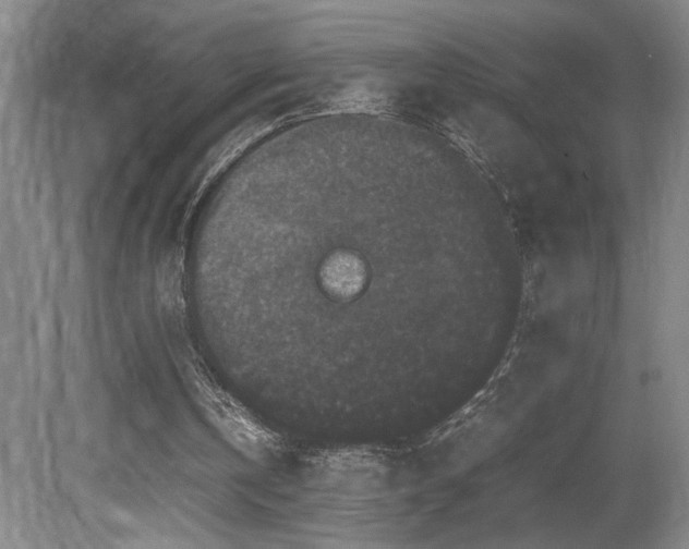 X0000081610146200701151414