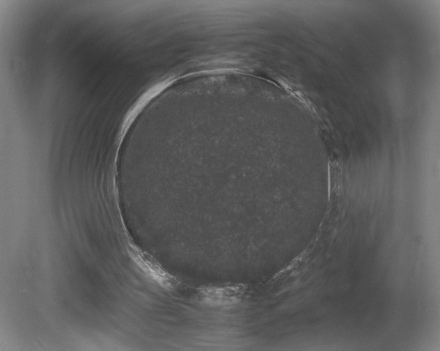 X0000081610147200701151414