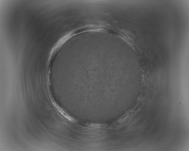 X0000081610149200701151414