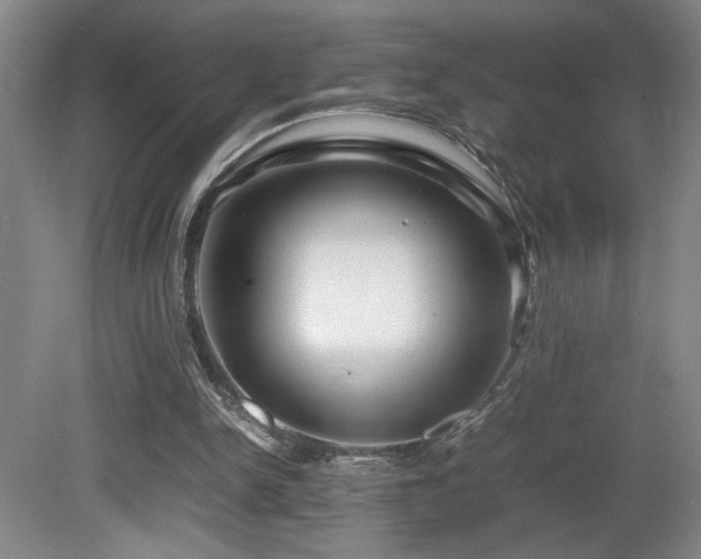 X0000081610150200701151414