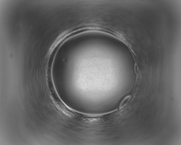 X0000081610151200701151414