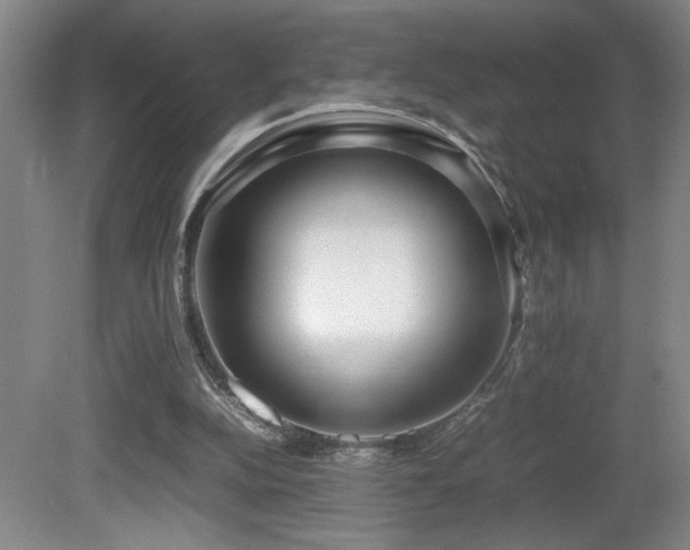 X0000081610152200701151414