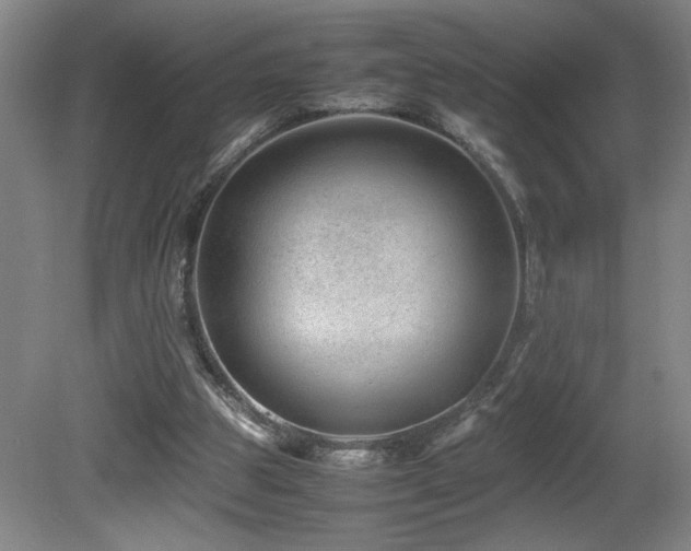 X0000081610153200701151414