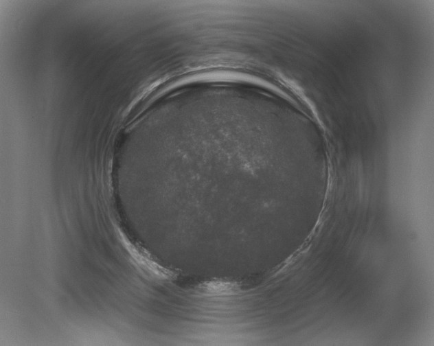 X0000081610154200701151414