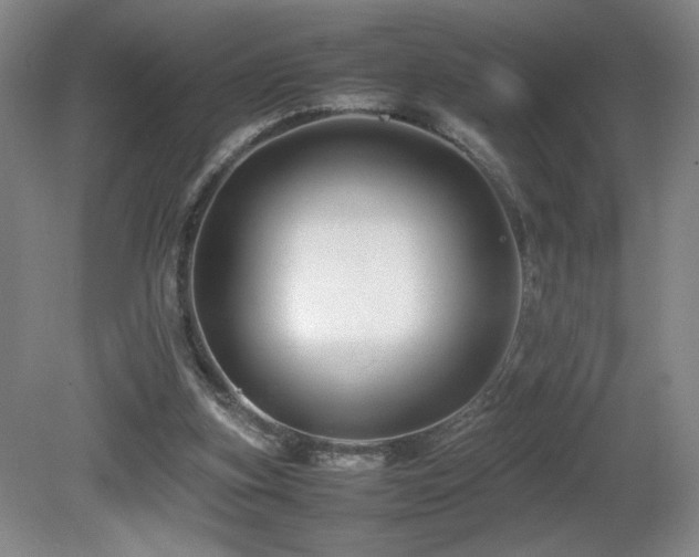 X0000081610155200701151414