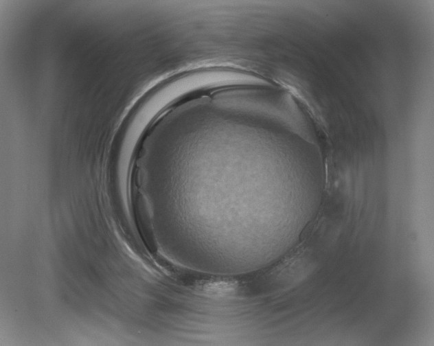 X0000081610156200701151414