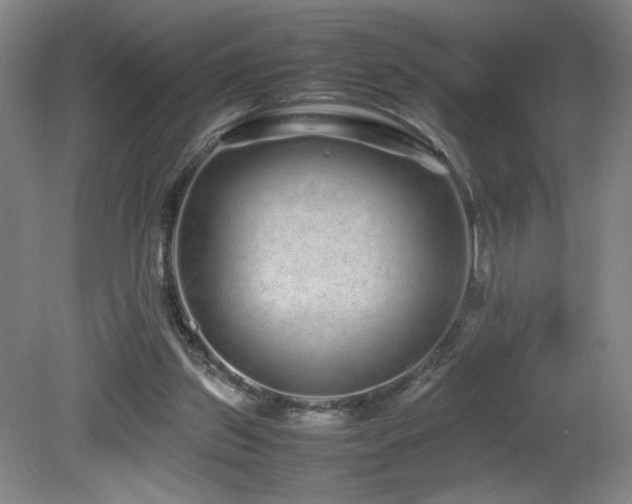 X0000081610157200701151414