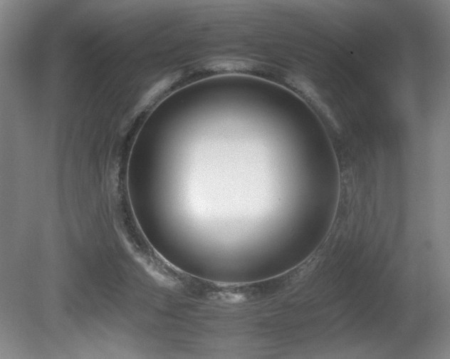 X0000081610159200701151414