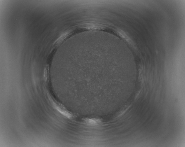 X0000081610165200701151414