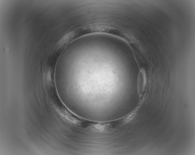 X0000081610166200701151414