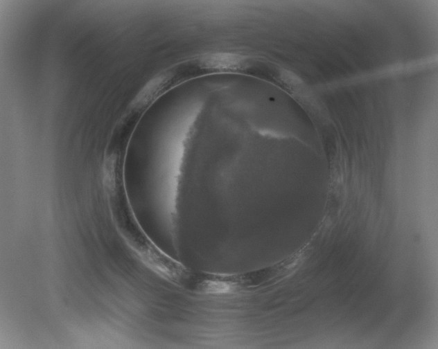 X0000081610167200701151414