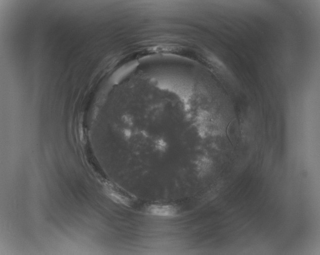 X0000081610169200701151414