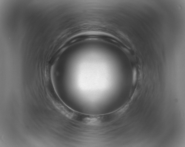 X0000081610170200701151415