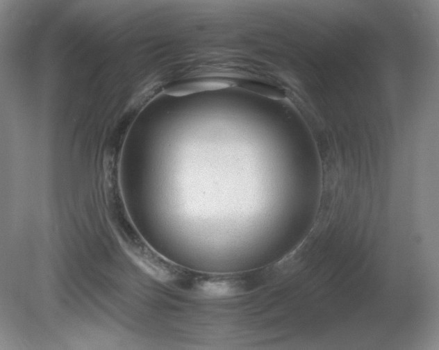 X0000081610171200701151415