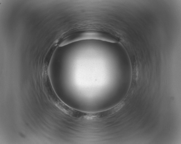 X0000081610172200701151415