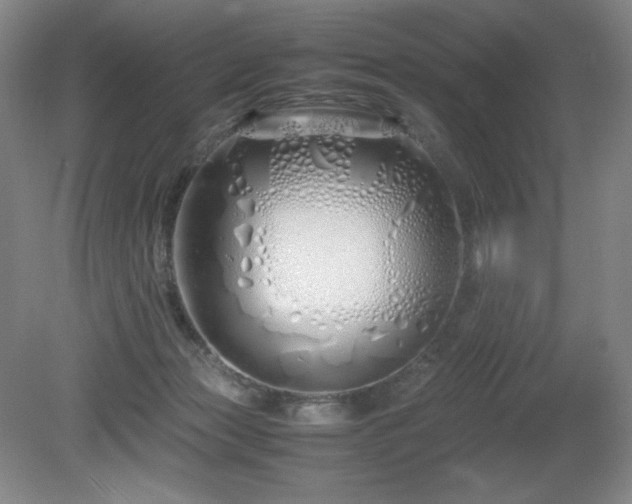 X0000081610173200701151415