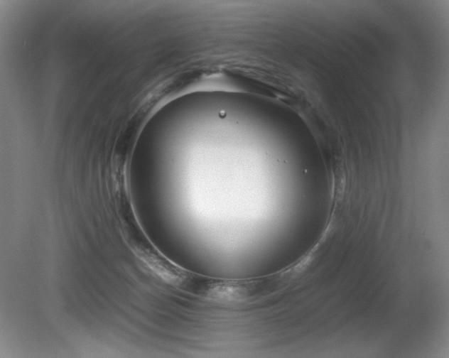 X0000081610174200701151415