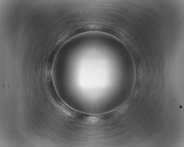 X0000081610176200701151415