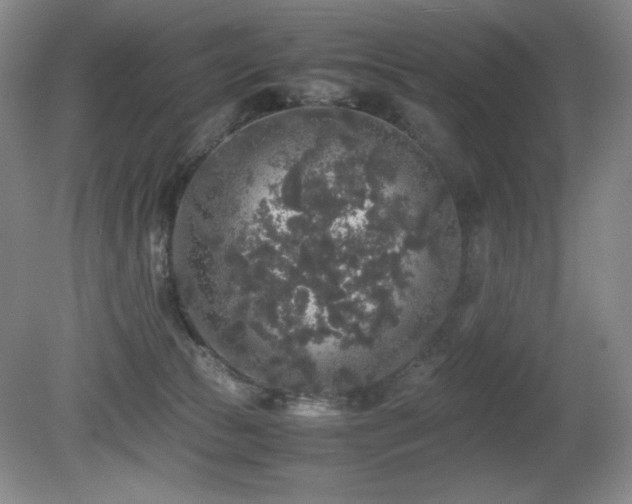 X0000081610177200701151415