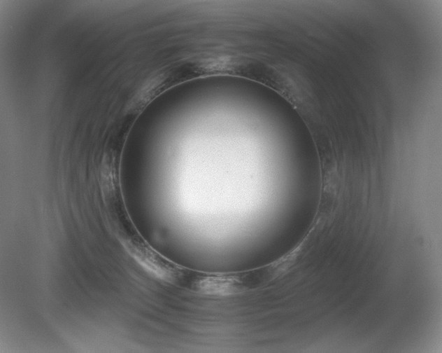 X0000081610179200701151415