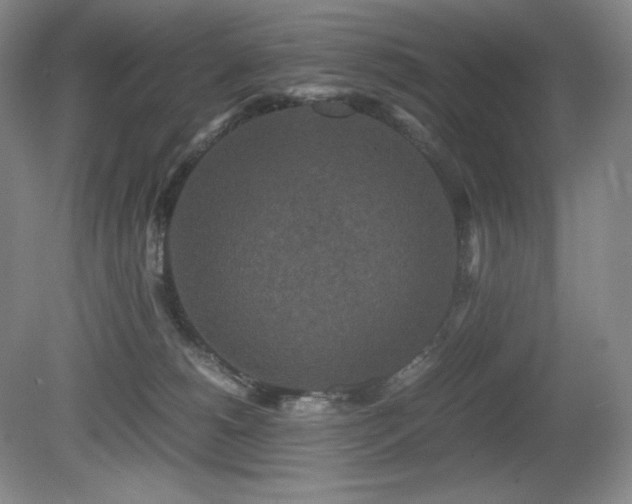 X0000081610180200701151415