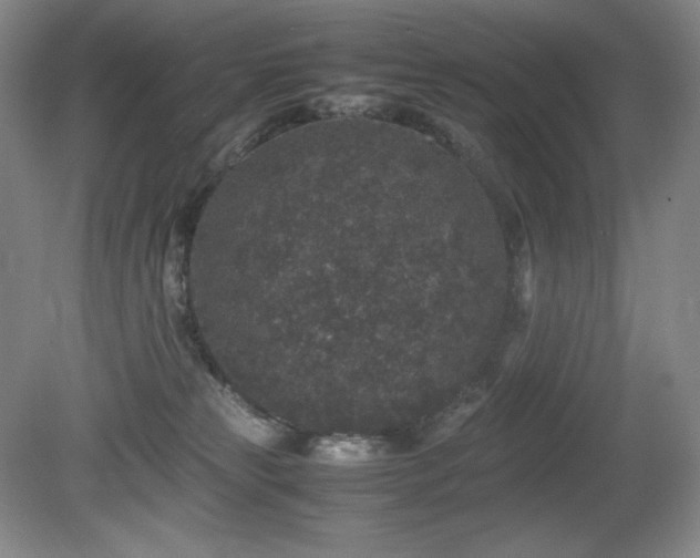 X0000081610181200701151415