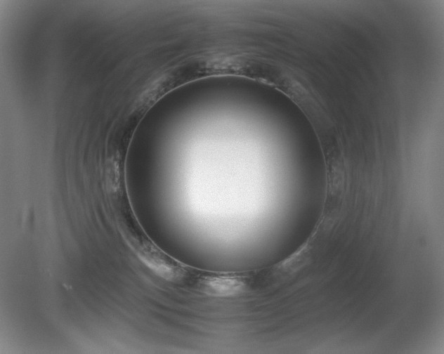 X0000081610183200701151415