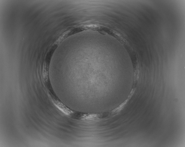 X0000081610186200701151415