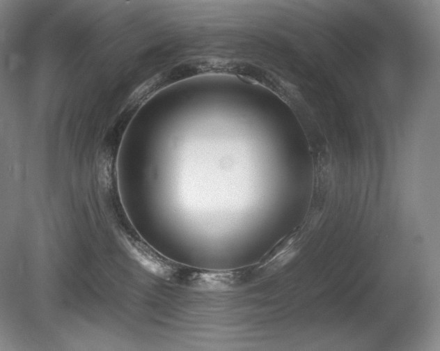 X0000081610188200701151415