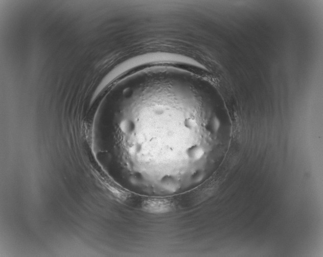 X0000081610189200701151415