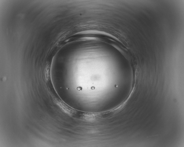 X0000081610190200701151415